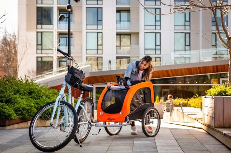 Victoria City Highlights Pedal Bike Tour - Hoods & Legends - Logistics, Safety, and Group Size