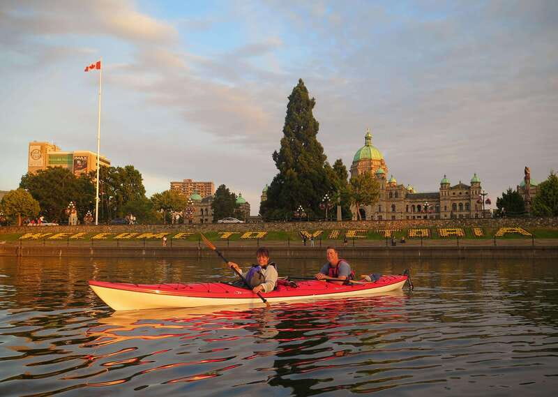 Victoria: Kayak Harbour Tour - Wildlife Encounters in a Marine NatureHood