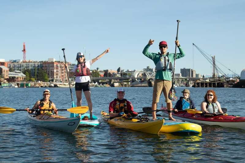 Victoria: Kayak Harbour Tour - Evening Paddling and City Lights