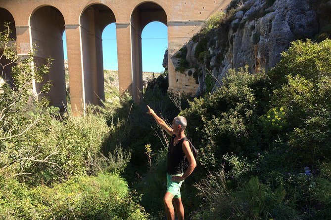 Victoria Lines Tour - Weather, Cancellation, and Practical Tips