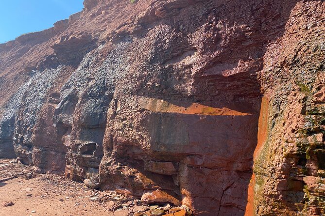 Victoria Prince Edward Island Minivan Tour - Highlights of the Tour Experience