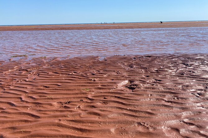 Victoria Prince Edward Island Minivan Tour - Who Would Enjoy This Tour Most?