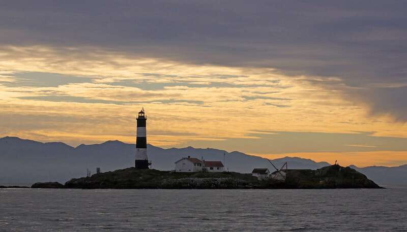 Victoria: Sunset Whale Watching Tour on an Open Scarab Boat - Why Choose the Sunset Tour in Victoria?