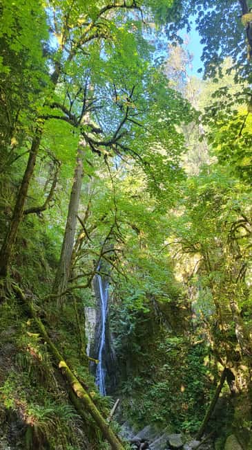 Victoria Waterfall, Skywalk, Beach Picnic, Castle and Whales - Stunning Views and Unique Experiences in Victoria, BC