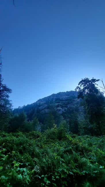 Victoria Waterfall, Skywalk, Beach Picnic, Castle and Whales - Unique Tree Walk and Nature Guiding
