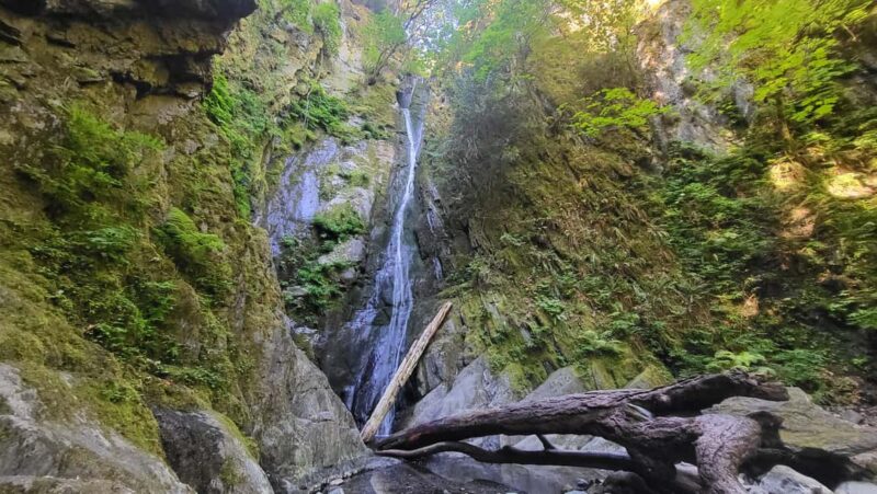 Victoria Waterfall, Skywalk, Beach Picnic, Castle and Whales - The Whale Watching Option and Additional Experiences