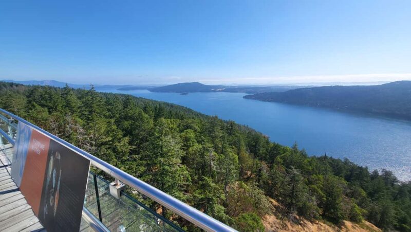Victoria Waterfall, Skywalk, Beach Picnic, Castle and Whales - Pricing, Flexibility, and Booking Details