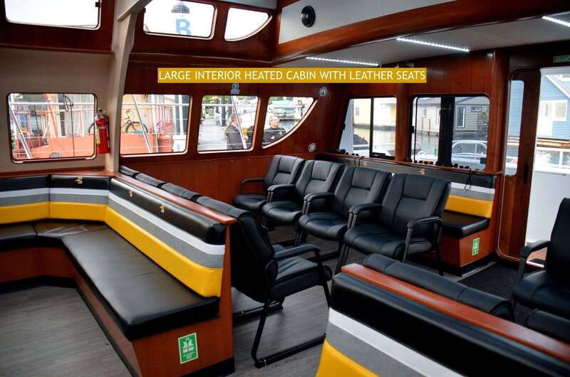 Victoria: Whale and Wildlife Semi-Covered Boating Tour - Best Suited For Who