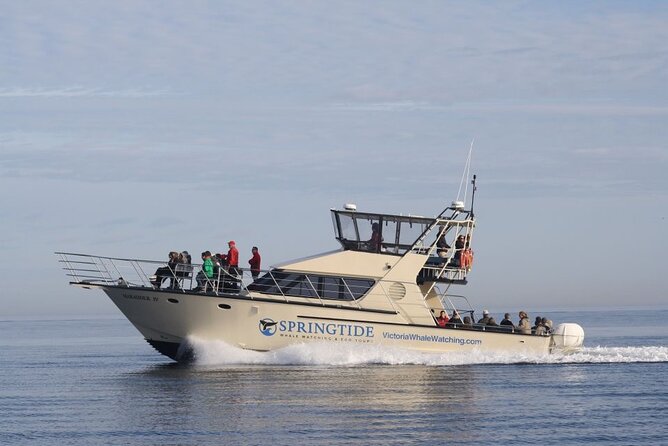 Victoria Whale Watch Tour - Victoria’s Prime Location for Marine Wildlife