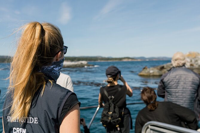 Victoria Whale Watch Tour - The Itinerary and Marine Spotting Strategy