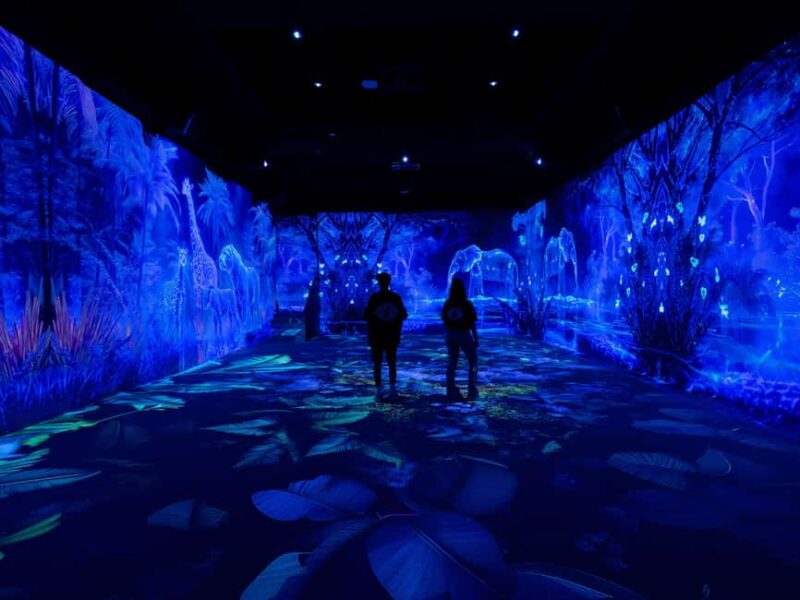 VIDENIE Immersive Art Space Entry Ticket - Discover VIDENIE: Sofia’s Cutting-Edge Digital Art Space