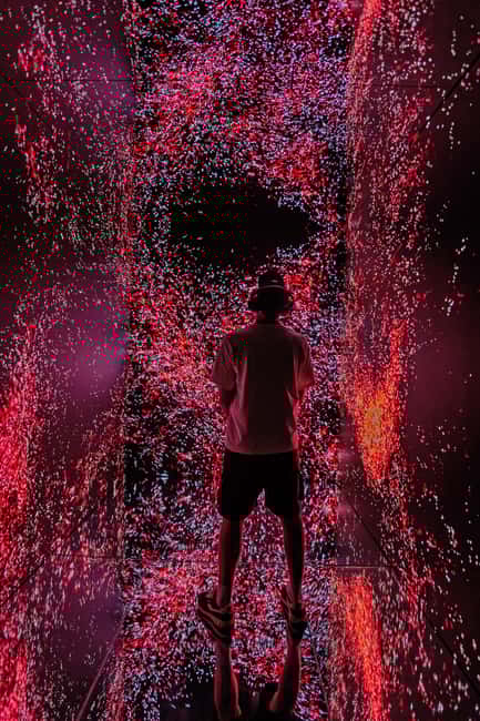 VIDENIE Immersive Art Space Entry Ticket - The Developed Environment by Studio Phormatik