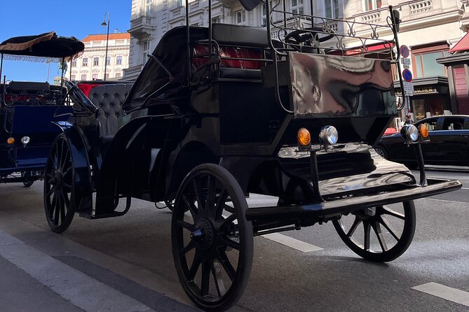 Vienna: 60 min. Royal E-Carriage Sightseeing Tour with Drinks - Key Points
