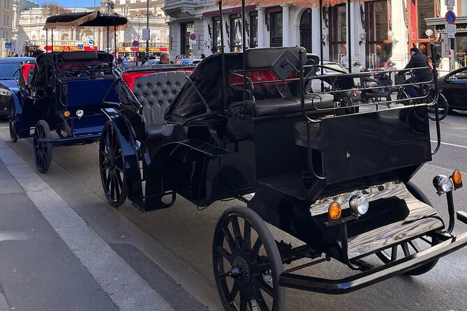 Vienna: 60 min. Royal E-Carriage Sightseeing Tour with Drinks - Start Point at Albertinapl. 2, Vienna