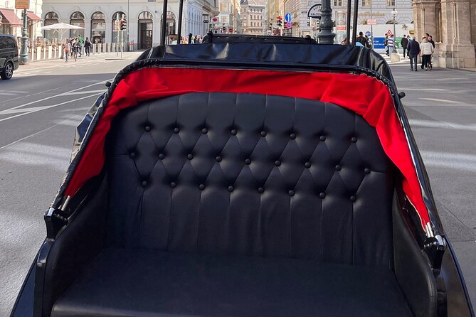 Vienna: 60 min. Royal E-Carriage Sightseeing Tour with Drinks - The Top Architectural and Cultural Stops