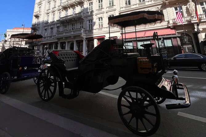 Vienna: 60 min. Royal E-Carriage Sightseeing Tour with Drinks - Who Will Enjoy This Tour Most?