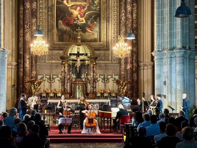 Vienna: Advent, Christmas and New Year's Concerts - Key Points