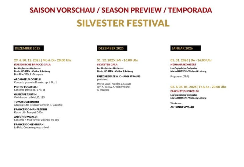 Vienna: Advent, Christmas and New Year's Concerts - The Concert Experience: Music, Atmosphere, and Pacing