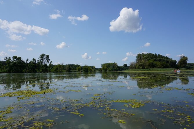 Vienna-Budapest Bike Rental with Bike Delivery - Key Points