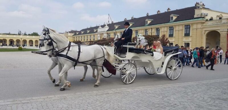 Vienna: Carriage Ride Through Schönbrunn Palace Gardens - Discover the Charm of Vienna’s Schönbrunn Palace Gardens by Carriage
