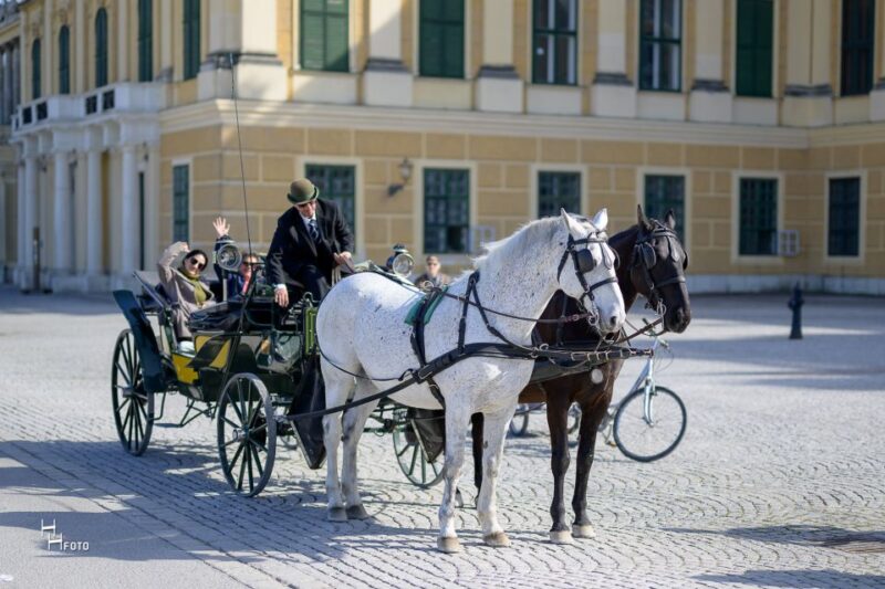 Vienna: Carriage Ride Through Schönbrunn Palace Gardens - Exploring the Gardens’ Iconic Architectural Features