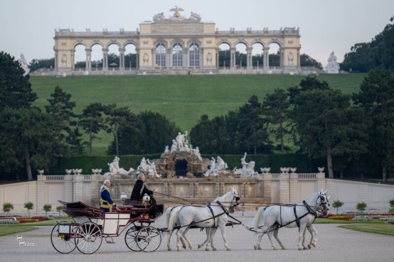Vienna: Carriage Ride Through Schönbrunn Palace Gardens - Comparing this Tour to Similar Vienna Experiences