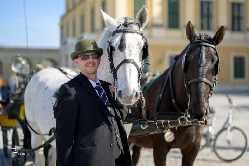 Vienna: Carriage Ride Through Schönbrunn Palace Gardens - Why This Carriage Ride Is a Great Choice