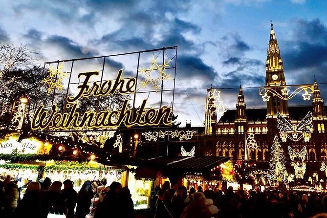 Vienna Christmas Market Private Walking Tour with Local Guide - Final Stop at Michaelerplatz and the Hofburg Market