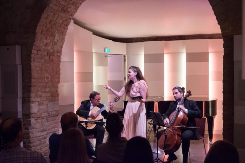 Vienna: Classical Concert at Mozarthaus with Museum Entry - The Performance Quality and Audience Experience