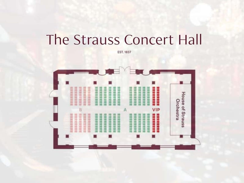 Vienna: Classical Concert in the historic 1837 Strauss-Hall - The Unique Atmosphere and Celebrated Acoustics