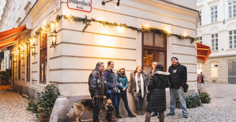 Vienna: Educational Walk Exploring Homelessness - Discover Vienna’s Hidden Social Challenge for $28