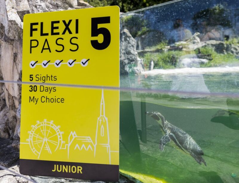 Vienna: Flexipass for 2, 3, 4 or 5 Top Sights - Limitations and Considerations
