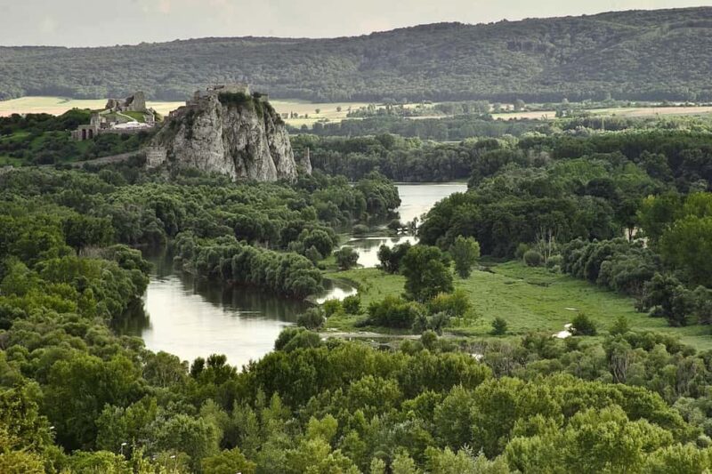 Vienna: Guided Bratislava & Devín Castle Tour via Hainburg - The Experience of the Guides and Group Size