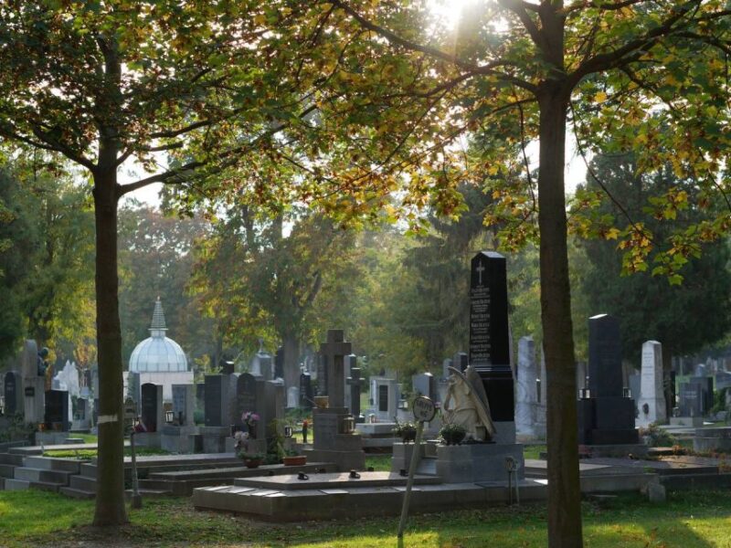 Vienna: Guided Walking Tour of the Central Cemetery - Why This Tour Stands Out in Vienna’s Cemetery Tours