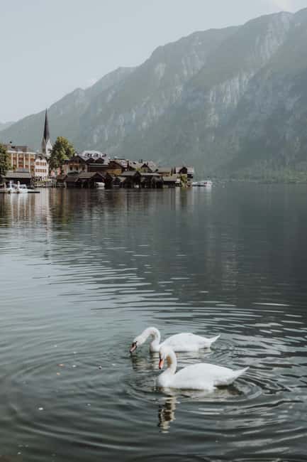 Vienna: Hallstatt Guided Tour with Hotel Pickup & Drop-off - Logistics: Meeting Points, Group Size, and Practical Tips