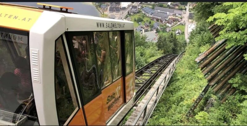 Vienna: Hallstatt Guided Tour with hotel pickup& Drop off - Who Will Appreciate This Tour Most