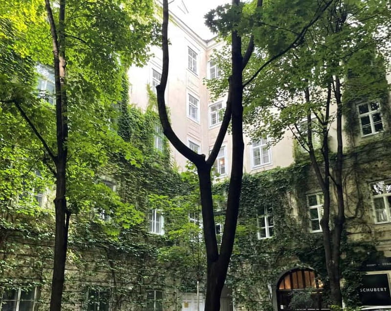 Vienna: Hidden courtyards Guided walking tour - Vienna’s Hidden Courtyards: A Quiet Treasure Hunt