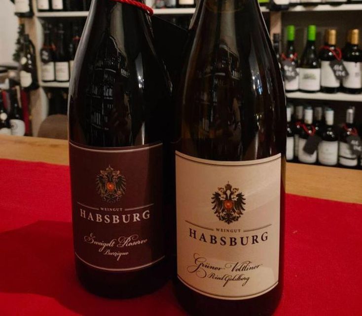 Vienna Historical Highlight City Tour + Wine Tasting - The Art and Natural History Museums