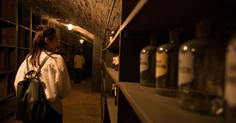 Vienna: Historical Pharmacy Cellar Guided Tour - The Pharmacy Laboratory and Medicine Cellar: A Closer Look