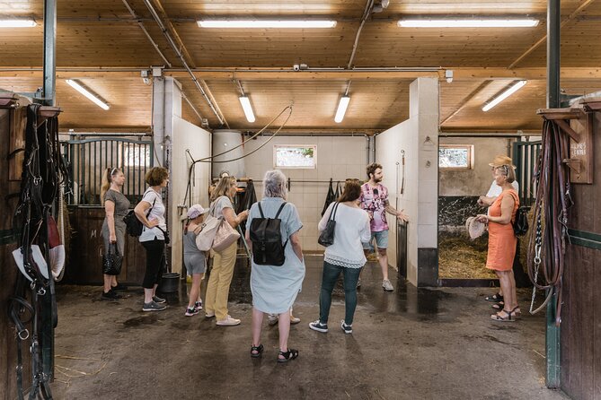 Vienna Horse-drawn Carriage Guided Tour - Visiting Vienna’s Fiaker Stables: Behind the Scenes
