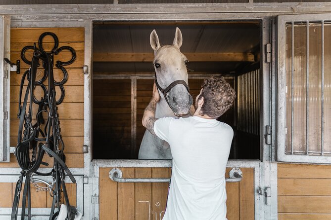 Vienna Horse-drawn Carriage Guided Tour - What You See on the Route: Landmarks and Neighborhoods