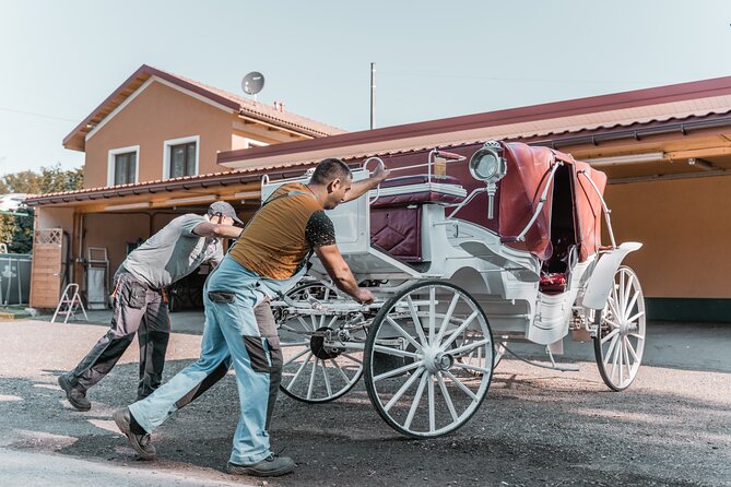 Vienna Horse-drawn Carriage Guided Tour - Practical Details: Meeting Point, Timing, and Group Size