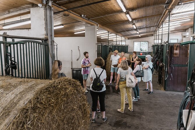 Vienna Horse-drawn Carriage Guided Tour - Limitations: Ride Quality and Scenic Value