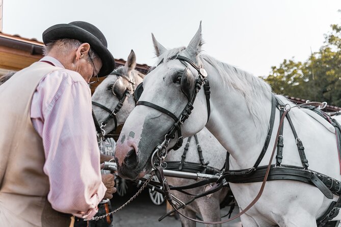 Vienna Horse-drawn Carriage Guided Tour - Final Thoughts on the Vienna Horse-drawn Carriage Guided Tour