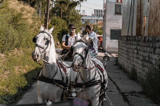 Vienna Horse-drawn Carriage Guided Tour - Frequently Asked Questions