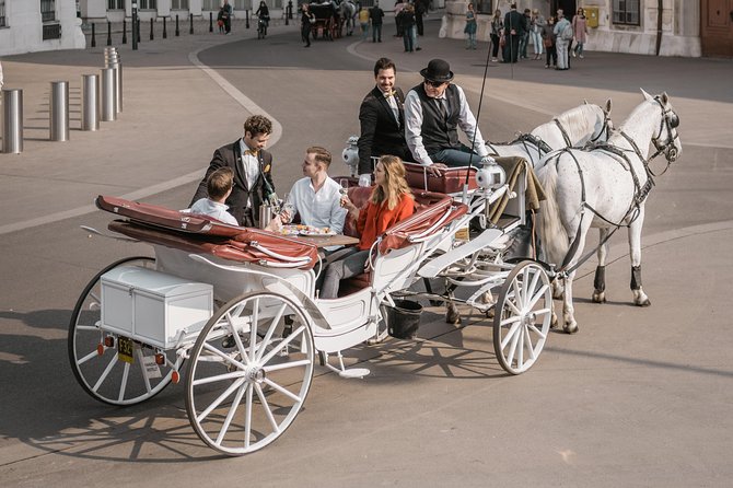 Vienna Horse-Drawn Carriage Ride with Sparkling Wine and Food - Accessibility and Practical Details