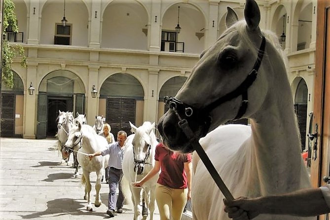 Vienna Inner City Highlights Private Walking Tour - The Iconic St. Stephen’s Cathedral