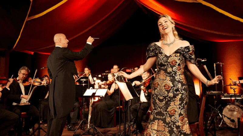 Vienna: Johann Strauss Dinner Show at the Prater - Key Points