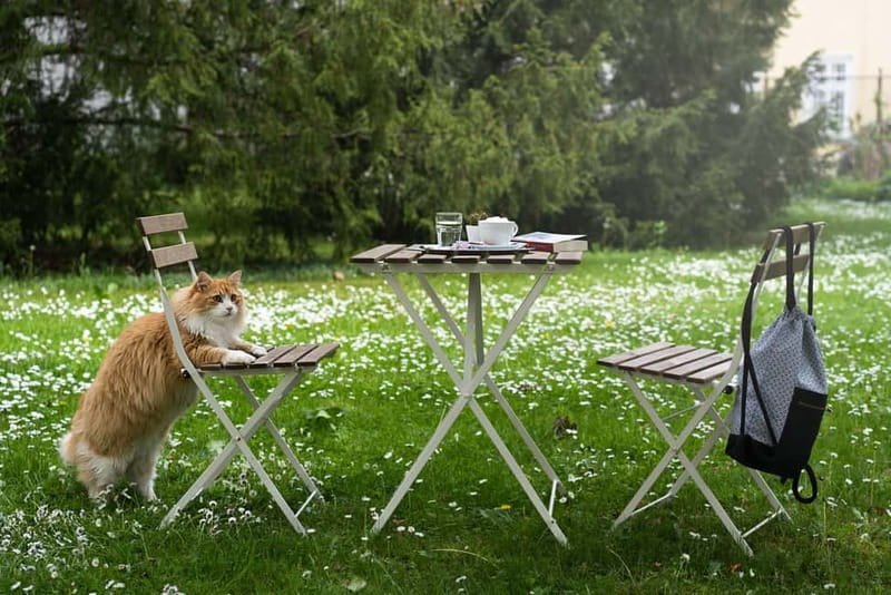 Vienna: Klimt Villa (Gustav Klimt Atelier & Museum) Ticket - Final Thoughts on the Vienna: Klimt Villa Tour