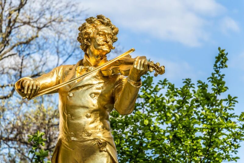 Vienna: Meet Strauss Private Guided Walking Tour - Practical Details: Logistics and Accessibility